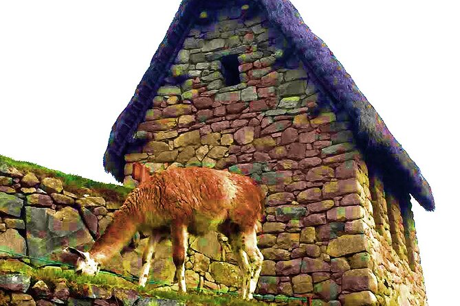Machu Picchu 1 Day Tour from Cusco by Train - The long-day tradeoff