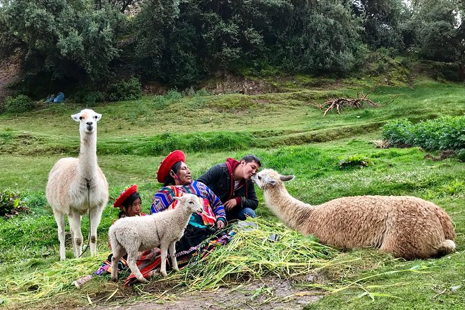 Machu Picchu Full Day from Cusco - The return trip is where you need patience