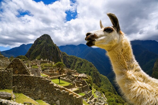 Machu Picchu Full Day with lunch by Aludi Travel - Why this Machu Picchu day trip works