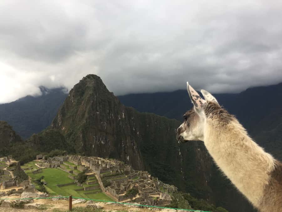 Machu Picchu: Private Tour Guide Service - What to pack for a two-hour visit