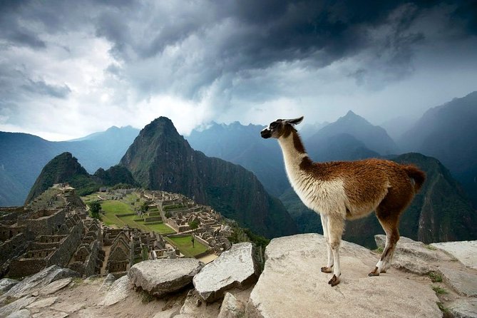 MachuPicchu Private Full Day Tour by Vistadome train from Cusco - Why this day trip works from Cusco