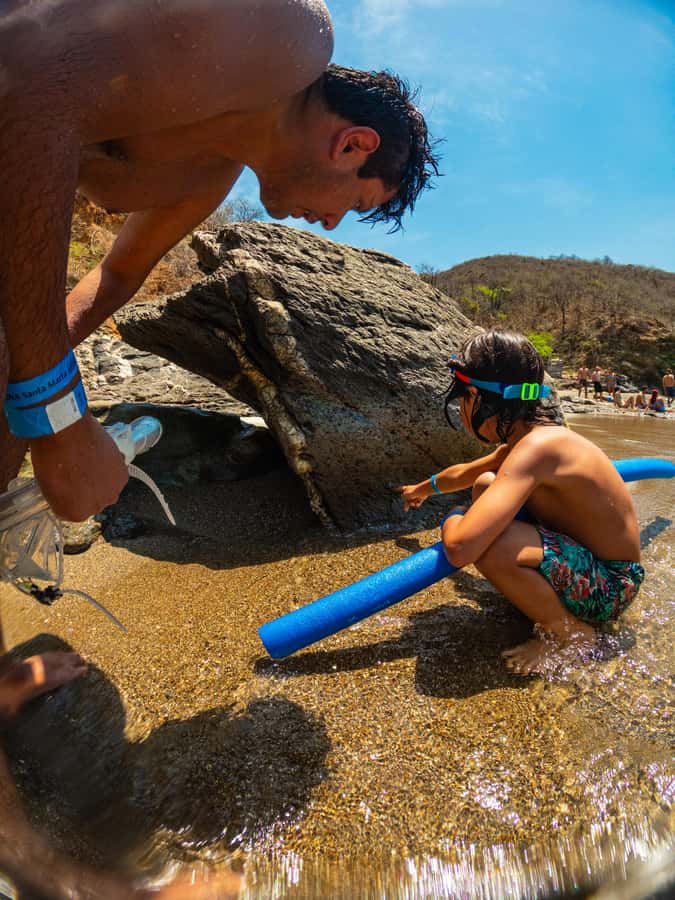 Magdalena: Tayrona Park Cruise with Snorkeling & Beaches - Key points to know before you book