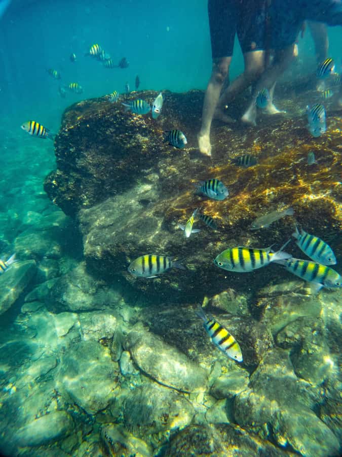 Magdalena: Tayrona Park Cruise with Snorkeling & Beaches - Santa Marta Marina sets the tone at 9:30 am