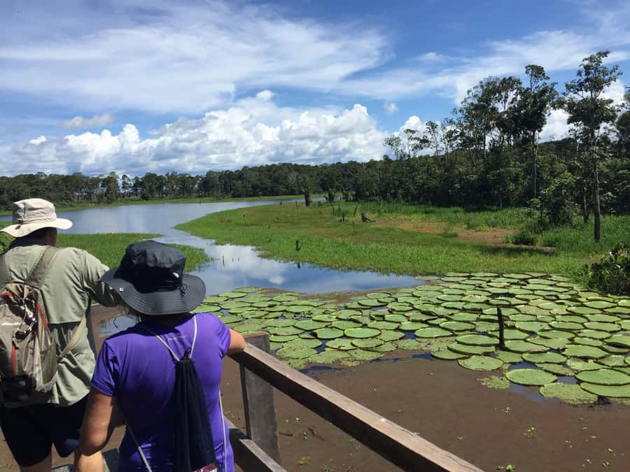 Manaus: 2-Day River Tour With Overnight Stay - Paddling, piranha fishing, and sunset
