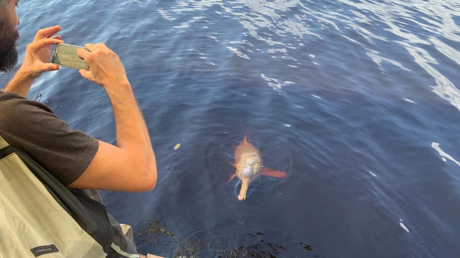 Manaus: 2-Day River Tour With Overnight Stay - An Indigenous community and a seasonal beach