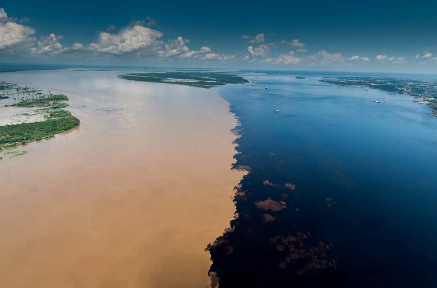 Manaus: Full-Day Tour on the Amazon River - The Meeting of the Waters Near Manaus