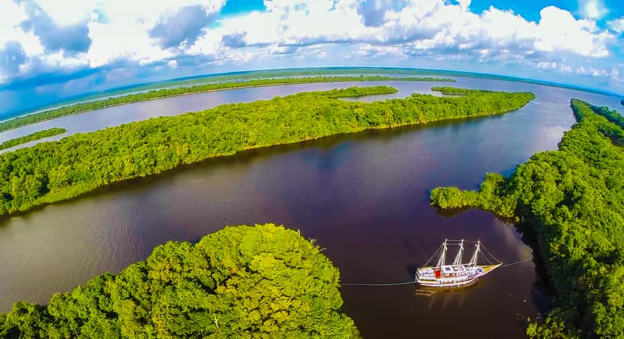 Manaus: Full-Day Tour on the Amazon River - Pink Dolphins and Amazon Wildlife