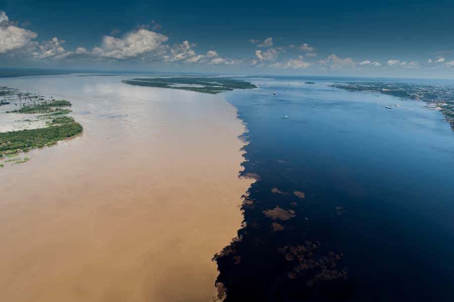 Manaus: Meeting of the Waters & Pink Dolphin Tour with Lunch - Key points to know before you go