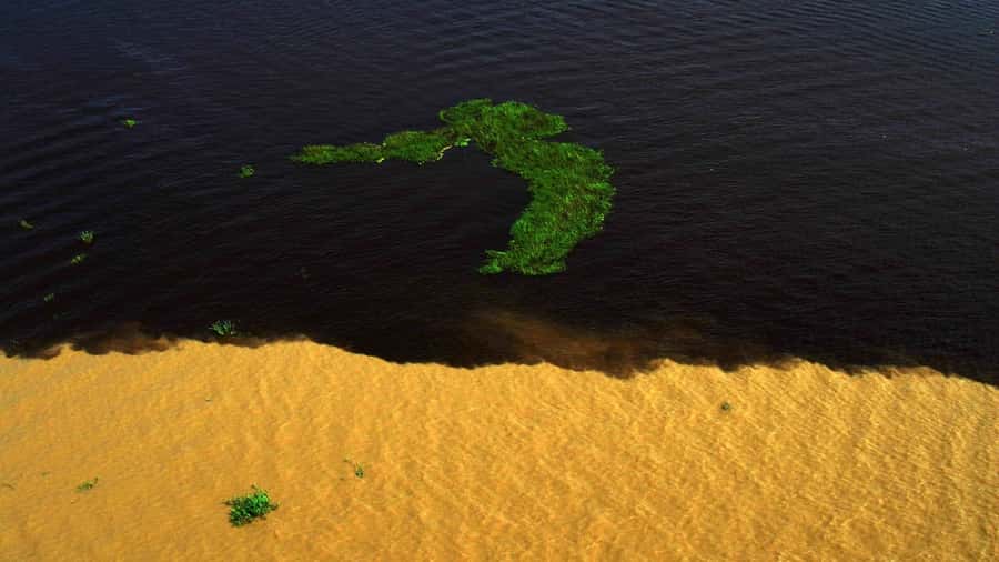 Manaus: Meeting of the Waters & Pink Dolphin Tour with Lunch - Group size, guide languages, and the pace