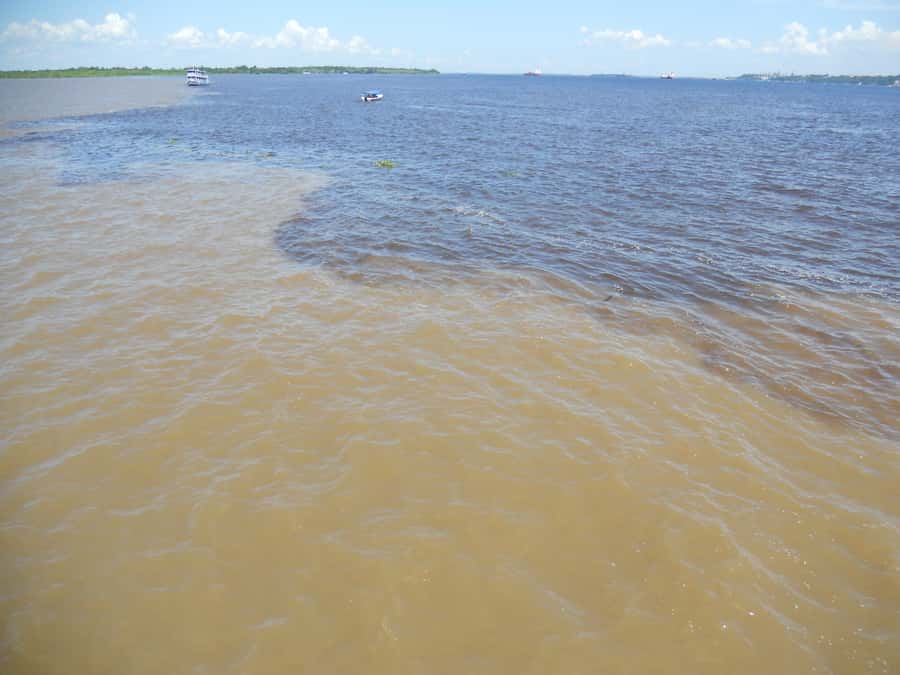 Manaus: Multi-Day Amazon Trip at Tapiri Floating Lodge - From Manaus to the Meeting of the Waters