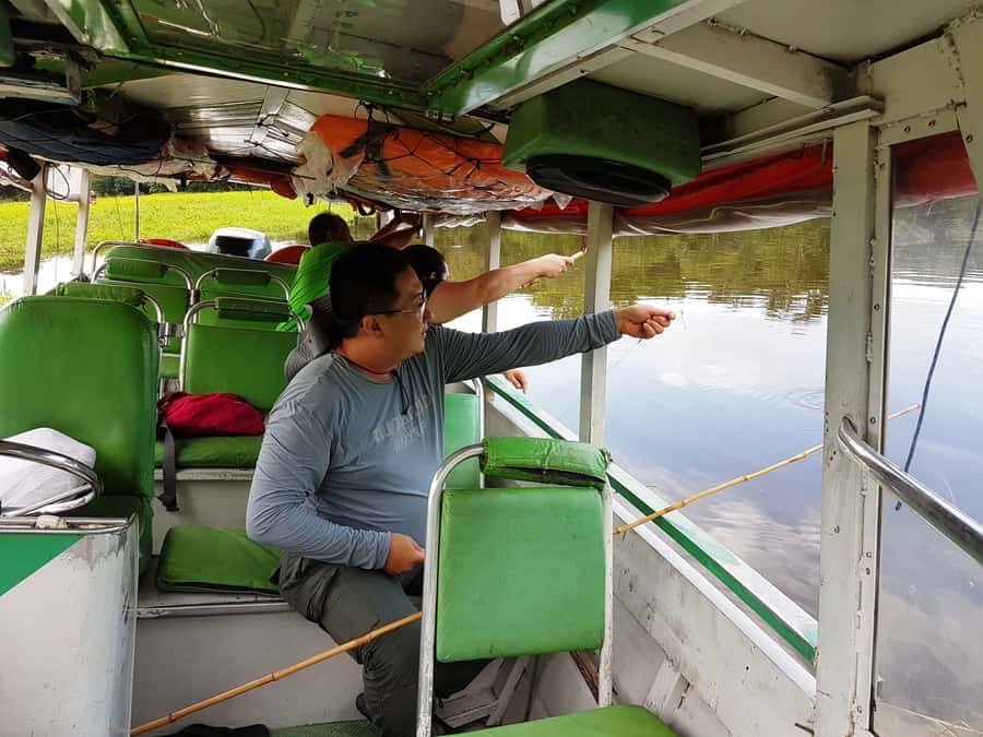 Manaus: Piranha Fishing and Alligator Watch Evening Tour - The shift from fishing to night wildlife