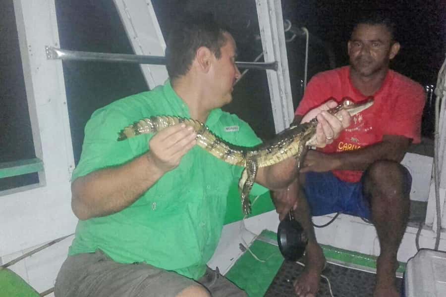 Manaus: Piranha Fishing and Alligator Watch Evening Tour - Is $90 a fair price?