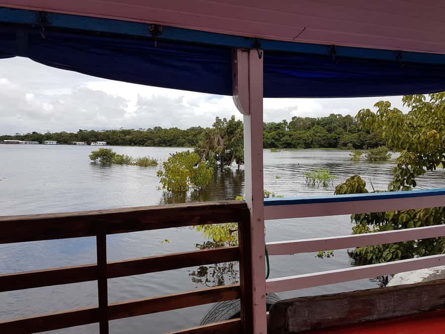 Manaus to Santarém: 36-Hour Ferry on the Amazon - Choosing between a hammock and a cabin