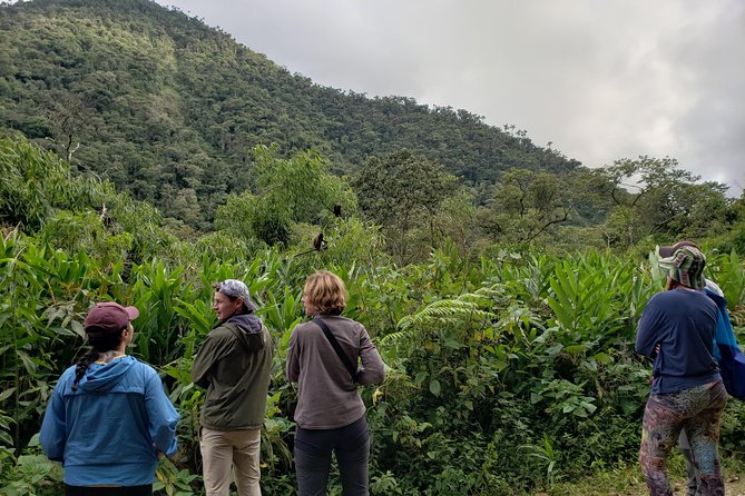 Manu National Park Tour 4days/3night - Guides named Saulo, Symond, Simone, and David