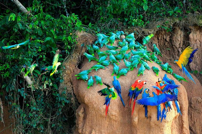 Manu National Park Tour 4days/3night - Group size and the meaning of private