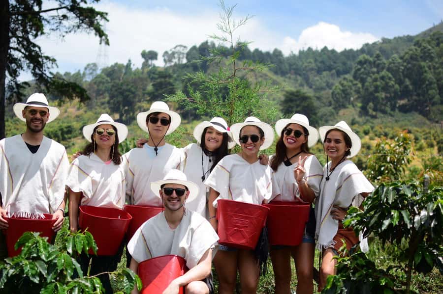 Medellín Coffee Farm Tour with Trolley and Cable Car Ride - Why this coffee tour feels different from a country plantation visit