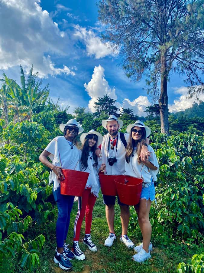 Medellín Coffee Farm Tour with Trolley and Cable Car Ride - Walking through Comuna 8 with a local guide