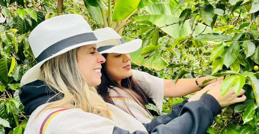 Medellín Coffee Farm Tour with Trolley and Cable Car Ride - Walking, clothing, and practical limits