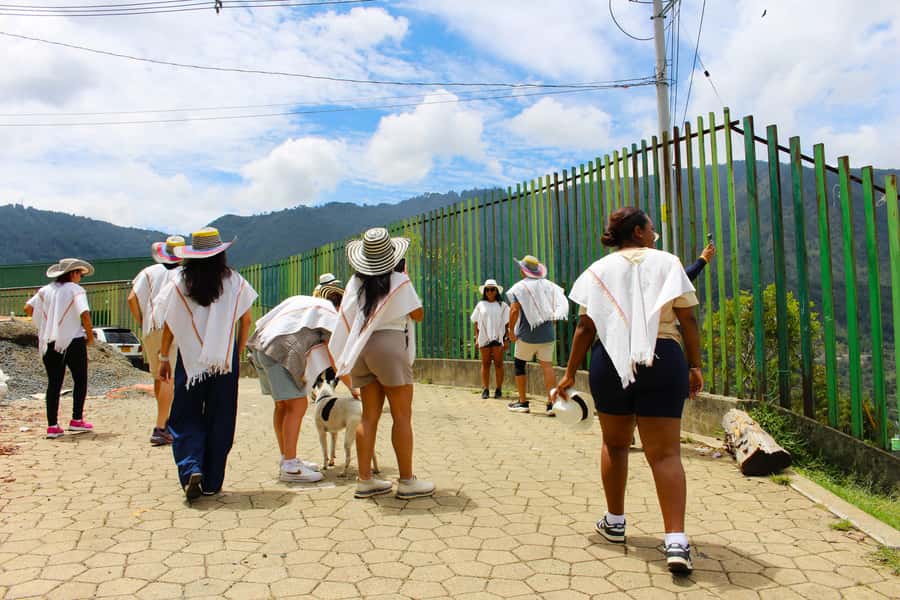 Medellín Coffee Farm Tour with Trolley and Cable Car Ride - Who will enjoy this most
