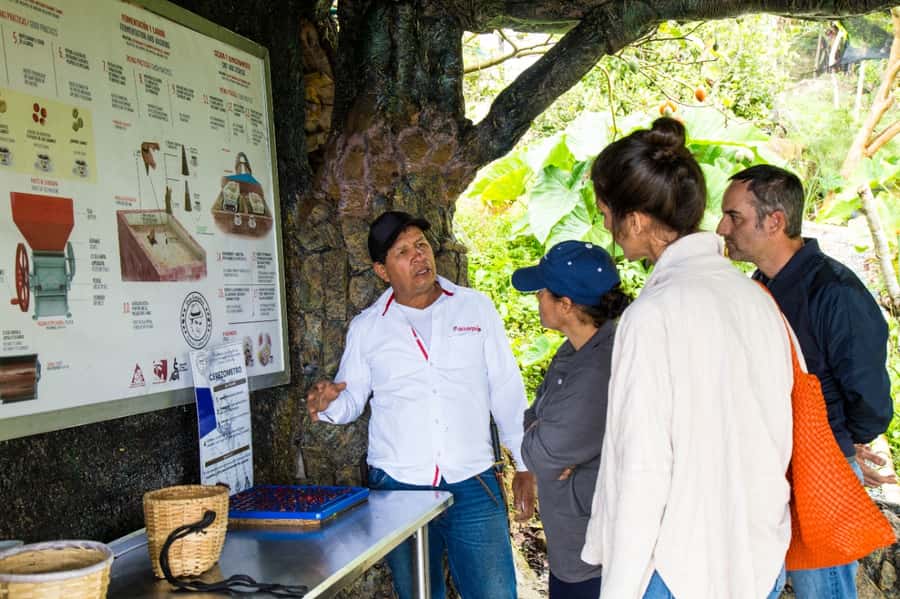 Medellin: Coffee Tour and Wellness Spa - Who should book this experience