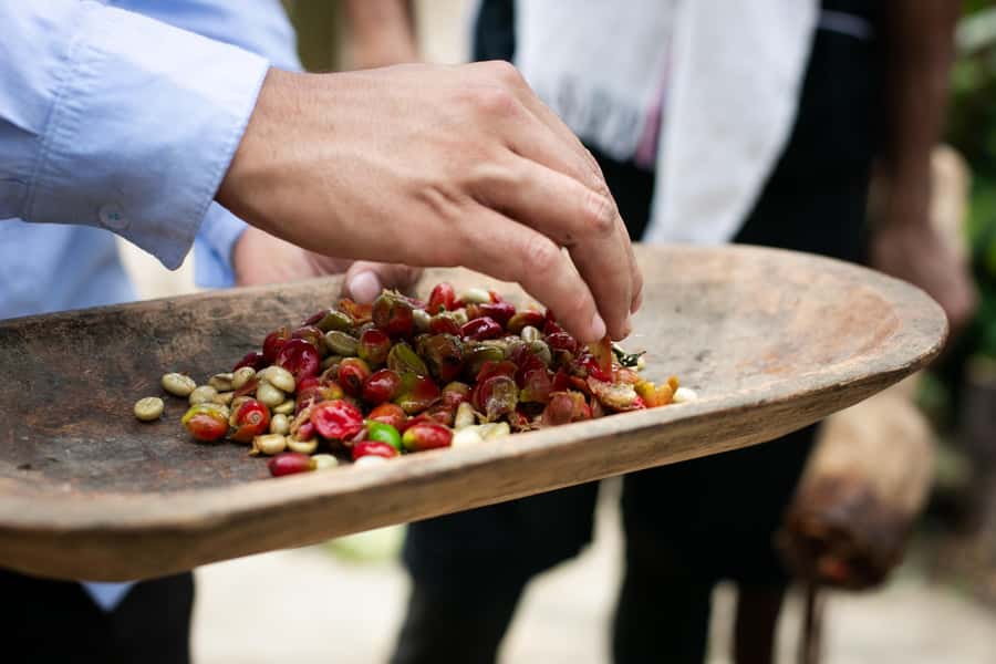 Medellin: Coffee Tour, Horseback Arrival, and Sugar Cane - Should you book this coffee farm visit?