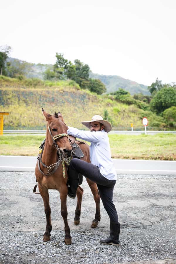Medellin: Coffee Tour, Horseback Arrival, and Sugar Cane - Who will enjoy this six-hour outing