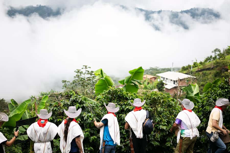 Medellin: Coffee Tour, Horseback Arrival, and Sugar Cane - Booking details worth checking