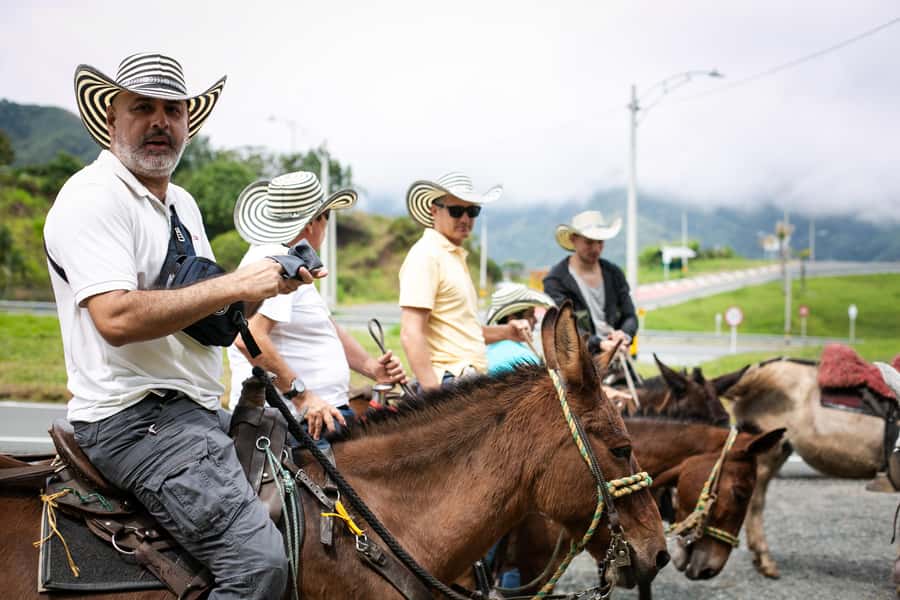 Medellin: Coffee Tour, Horseback Arrival, and Sugar Cane - Picking coffee among plantains and bananas