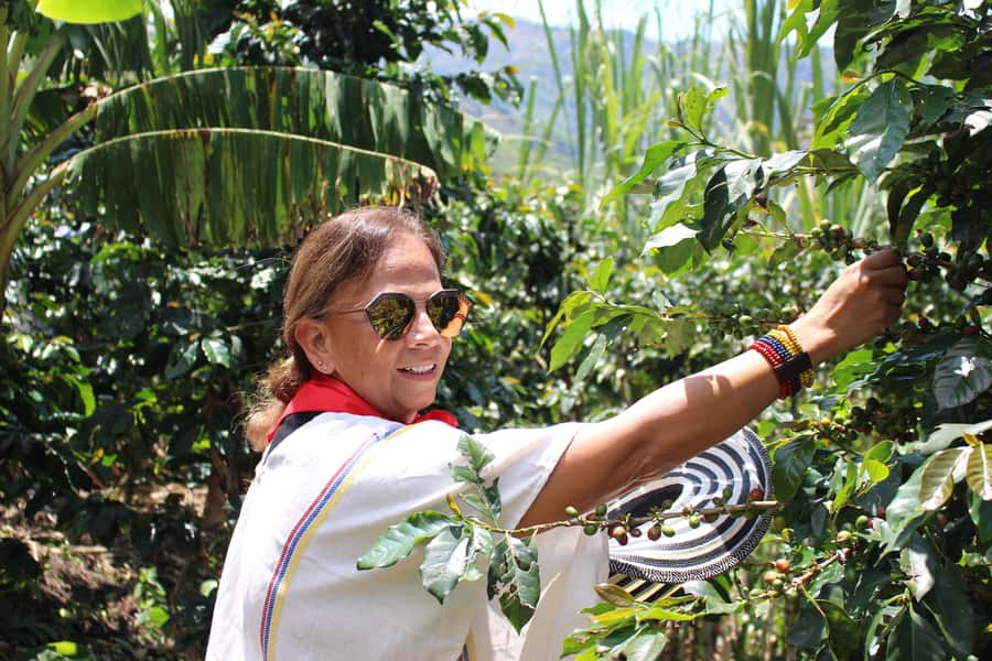 Medellin: Coffee Tour with Hotel Transfers and Meals - A family farm welcome and traditional dress
