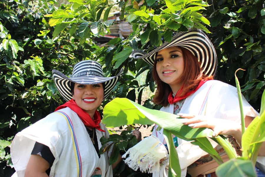 Medellin: Coffee Tour with Hotel Transfers and Meals - Learning how coffee becomes a drink