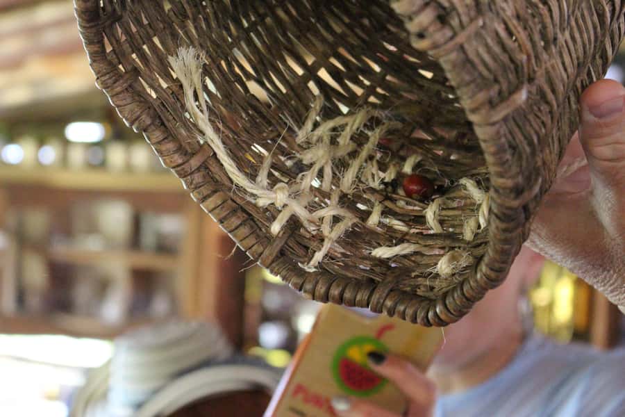 Medellin: Coffee Tour with Hotel Transfers and Meals - Optional horseback riding through the viewpoints