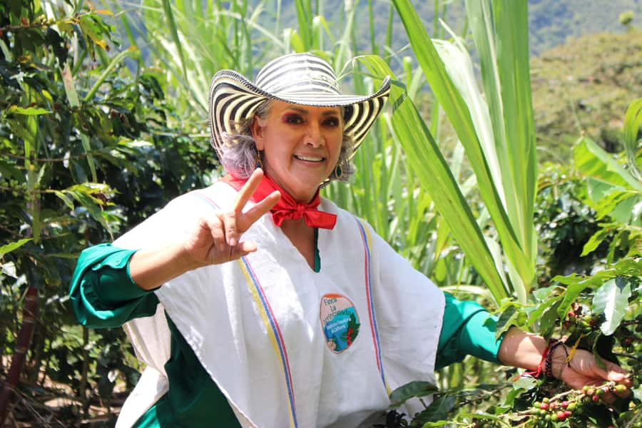 Medellin: Coffee Tour with Hotel Transfers and Meals - Who should book this coffee tour?