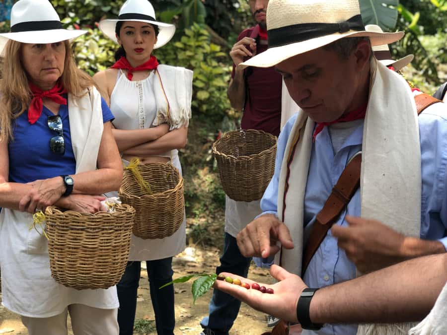Medellin: Coffee Tour with Transport, Snacks and Tastings - Learning to taste coffee properly