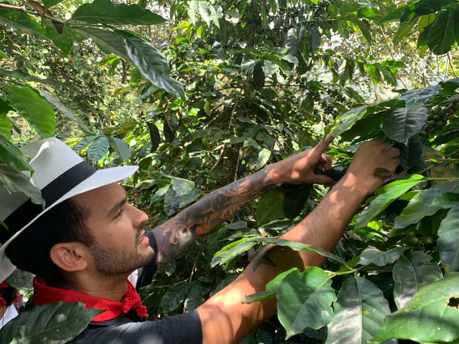 Medellin: Coffee Tour with Transport, Snacks and Tastings - Shopping and the coffee souvenir