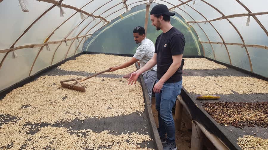Medellin: Guatape, El Peñol Coffee Farm Private Tour & Fruit - Key points at a glance