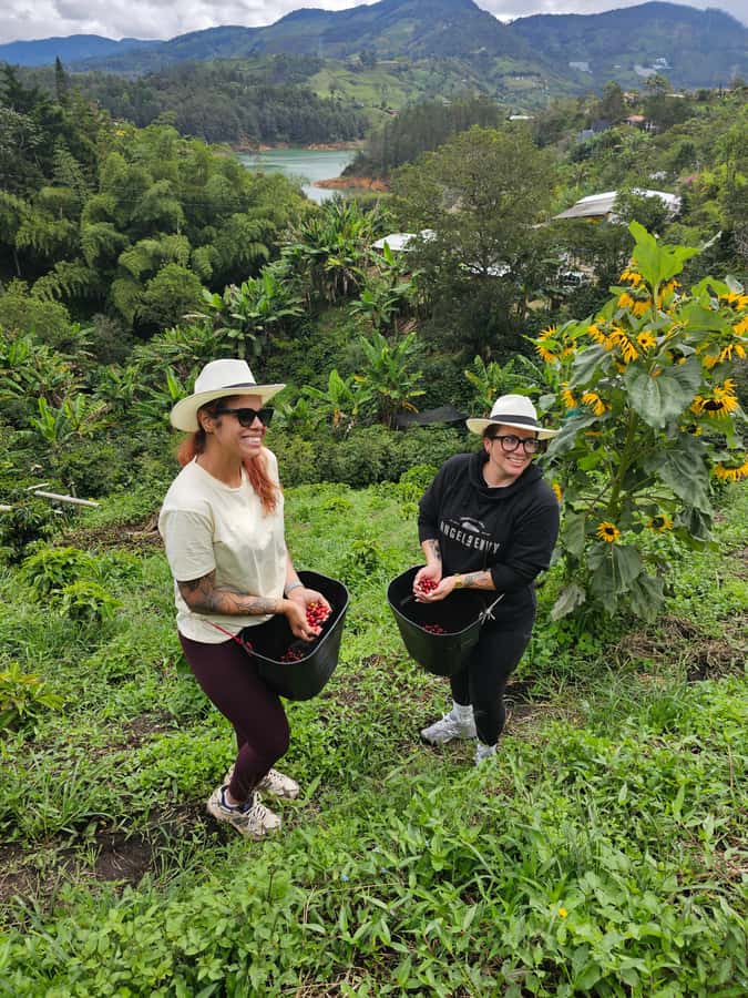 Medellin: Guatape, El Peñol Coffee Farm Private Tour & Fruit - Climbing the 700 steps of El Peñol