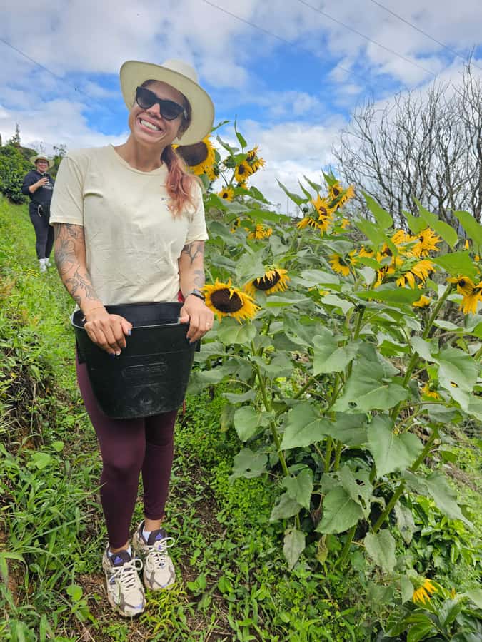 Medellin: Guatape, El Peñol Coffee Farm Private Tour & Fruit - Lunch and the value of a local recommendation
