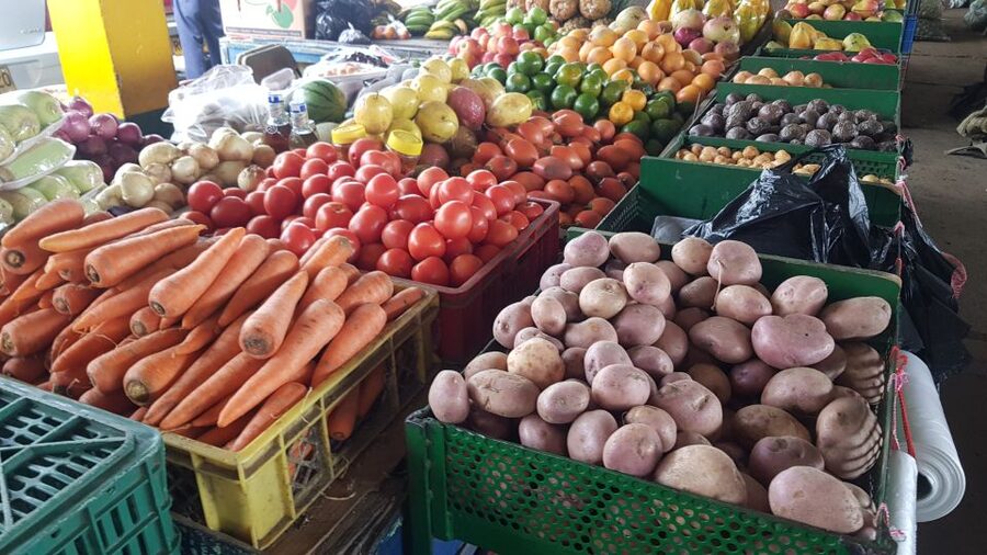 Medellin: Guatape, El Peñol Coffee Farm Private Tour & Fruit - The pace, physical effort, and possible drawbacks