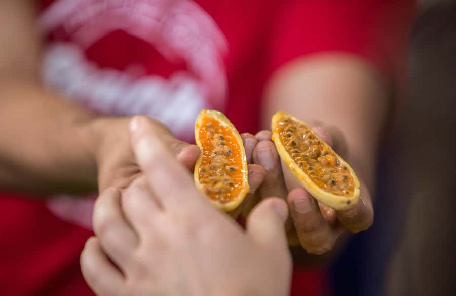Medellín: Guided Exotic Fruits Tour - Fresh juice and extra market flavors