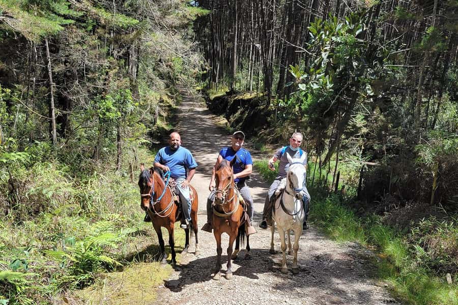 Medellin: Horseback Riding Coffee Farm Tour with Coffee Spa - Key points at a glance