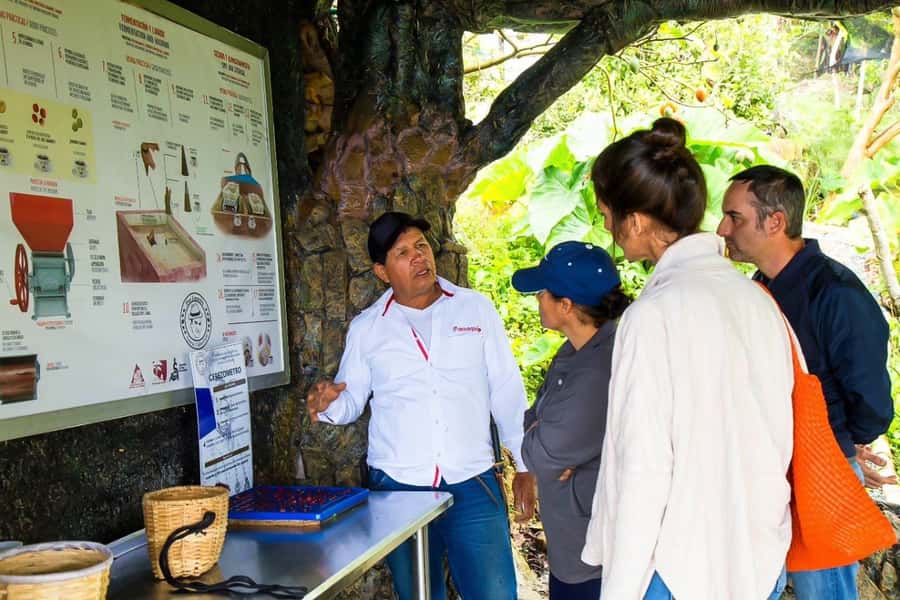 Medellin: Horseback Riding Coffee Farm Tour with Coffee Spa - The coffee spa, steam, scrub, and massage