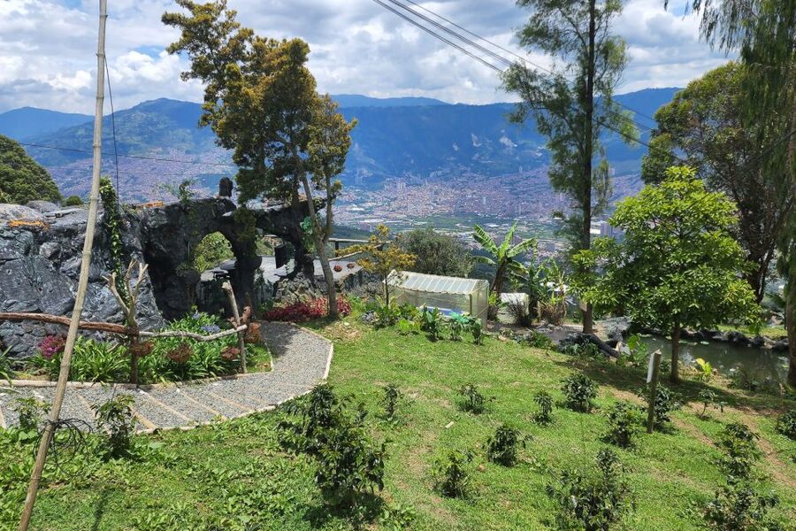 Medellin: Horseback Riding Coffee Farm Tour with Coffee Spa - Who should book this Medellín coffee tour?