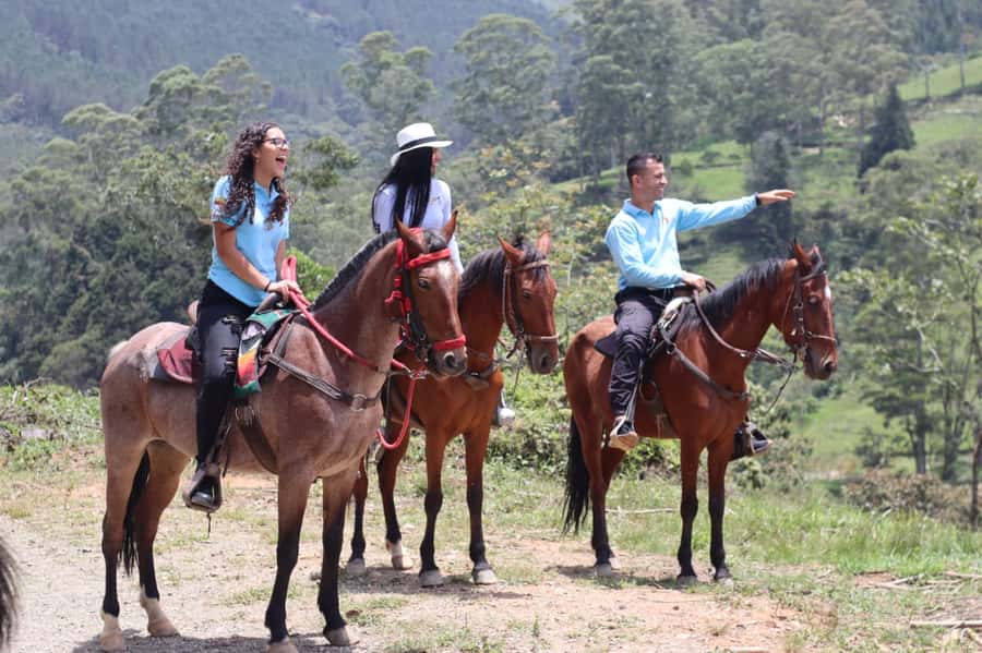 Medellin: Horseback Riding in the Medellin Mountains - The arriero tradition behind the ride