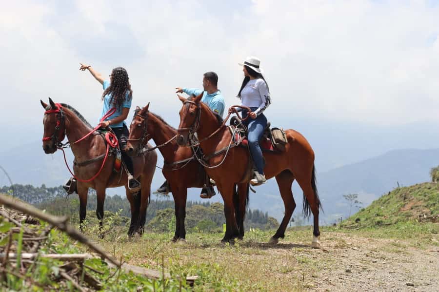 Medellin: Horseback Riding in the Medellin Mountains - What the $70 price really covers