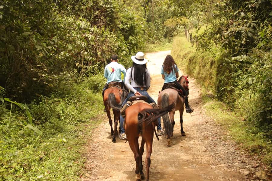 Medellin: Horseback Riding in the Medellin Mountains - Who will enjoy this ride most