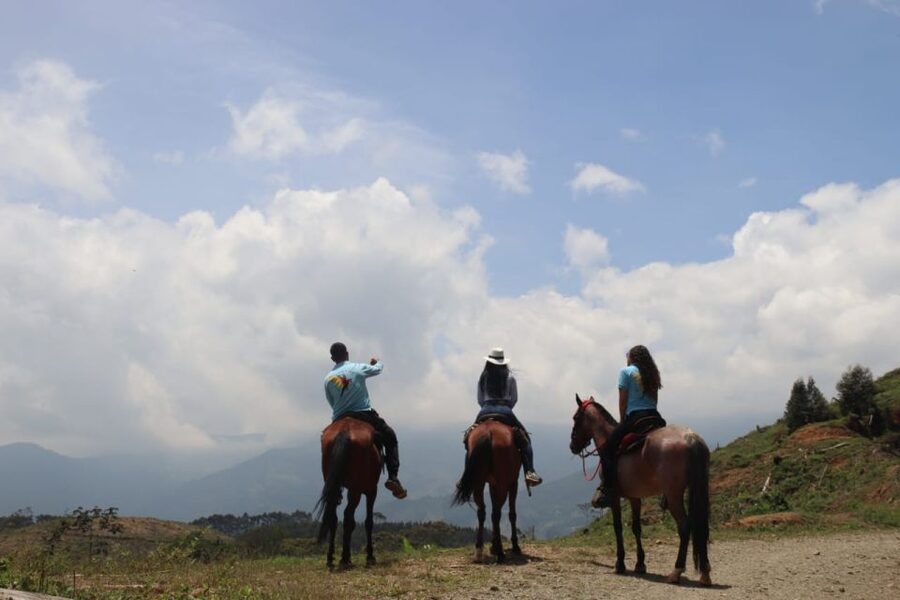 Medellin: Horseback Riding in the Medellin Mountains - Small details that make the day memorable