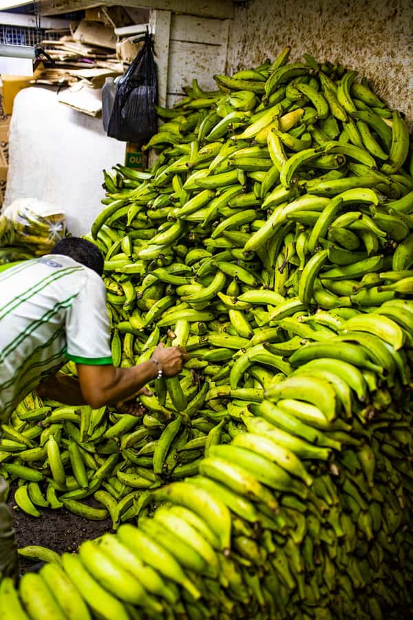 Medellín Multi-sensory Tour in the market, +15 Exotic Fruits - Meeting the traders behind the stalls