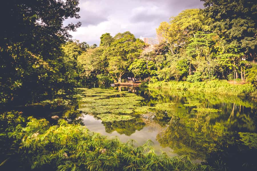 Medellin: Private City Tour - The alternative route to Santo Domingo and Parque Arvi