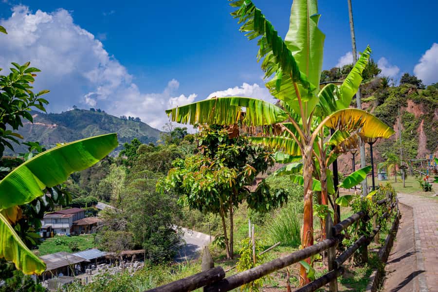 Medellín: Private Guatapé Tour w/ Breakfast, Lunch & Cruise - Should you book it?