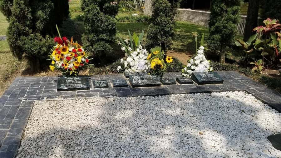 Medellín: Private Pablo Escobar and Comuna 13 Tour - Is $81 per person a fair price?